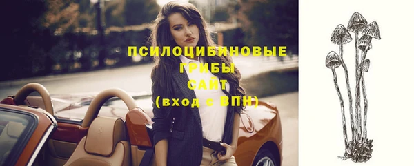 хмурый Майский