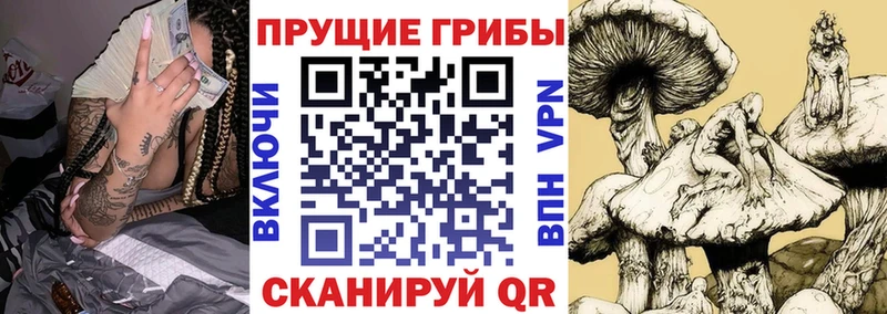 Галлюциногенные грибы Magic Shrooms  Купить  Петрозаводск 